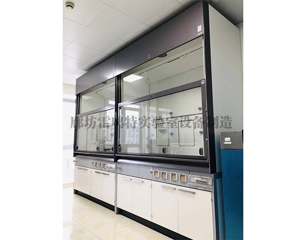 实验樱桃视频成人在线观看